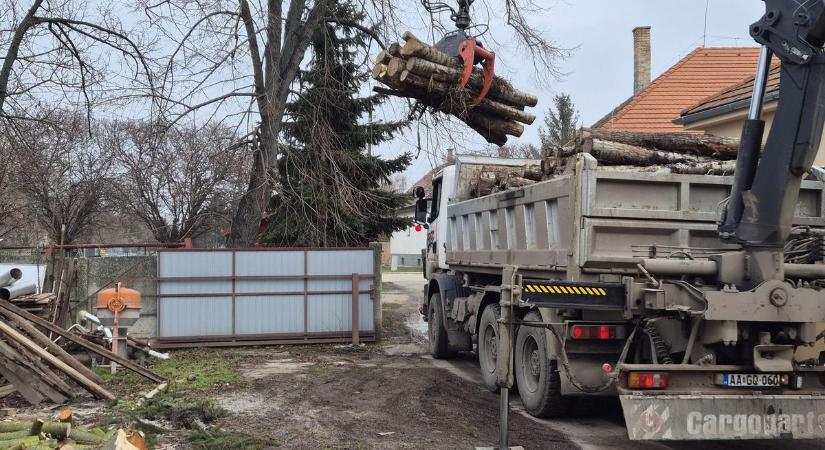 12 családot segítettek szociális tűzifával Mosonszentmiklóson