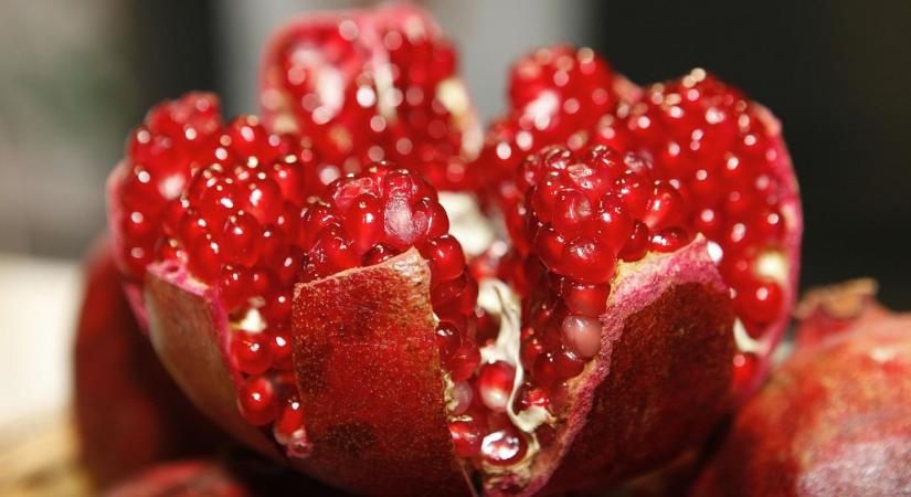 Rubinvörös védelem: A gyümölcs, amely a DNS-ünket is óvja