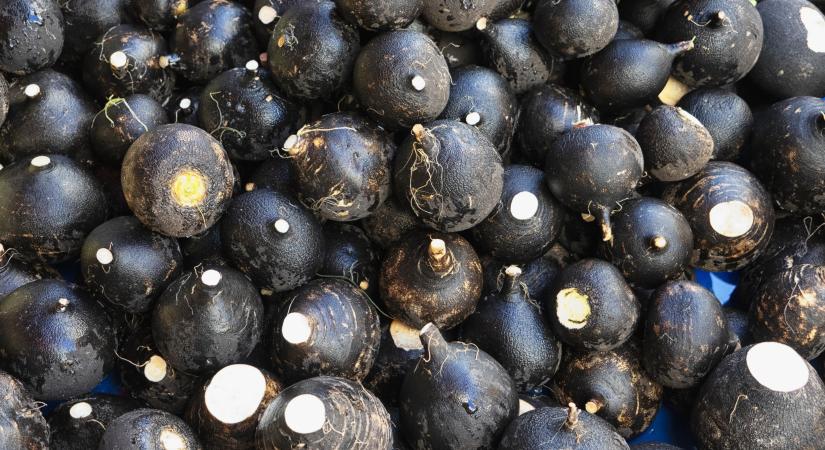 Olcsóbb, mint egy kiló kenyér, mégis igazi csodaszer a szervezetnek – alig kerül a tányérunkra