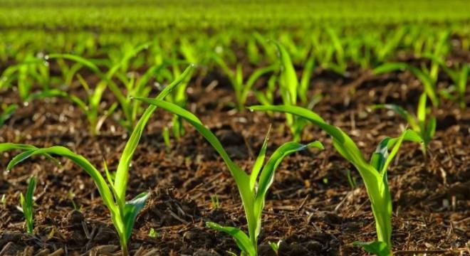 Világszerte megszerezte a B Corp tanúsítványt a Bonduelle