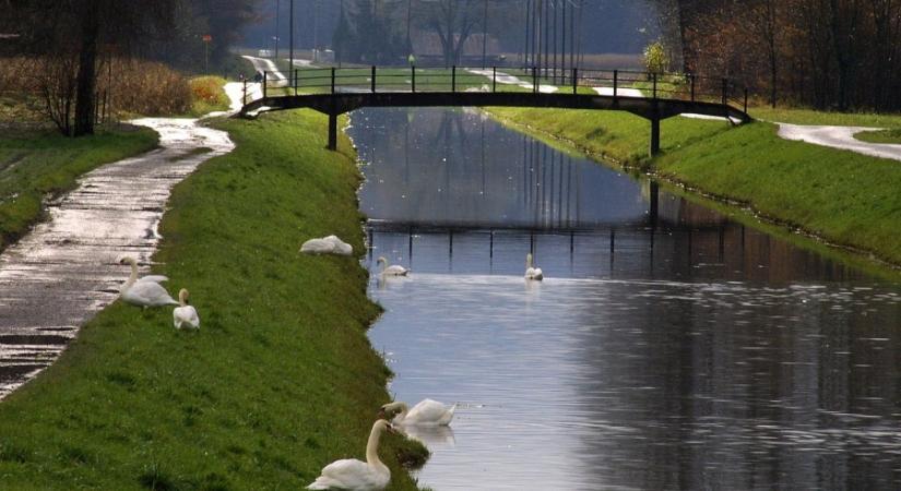 Jobb időt nem is kívánhatnánk a tavasz kezdetére