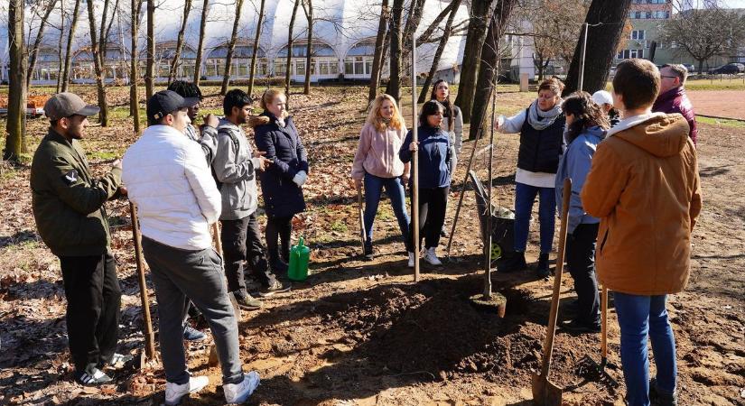 Nemzeti faültetés napja: A Nyíregyházi Egyetem is csatlakozott a programhoz