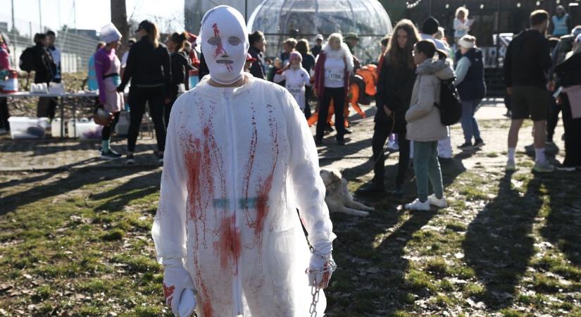 Mickey Egér, Elmo és a Mikulás is futott az Aranyparton – Galéria és videó a III. győri örömfutásról