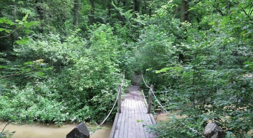 A túraimádók is odavannak ezért a gyönyörű panorámáért (videó)