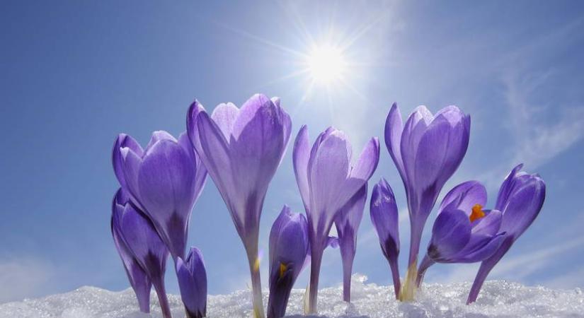 Több ezer felújított otthon várja a tavasz hírnökeit idehaza