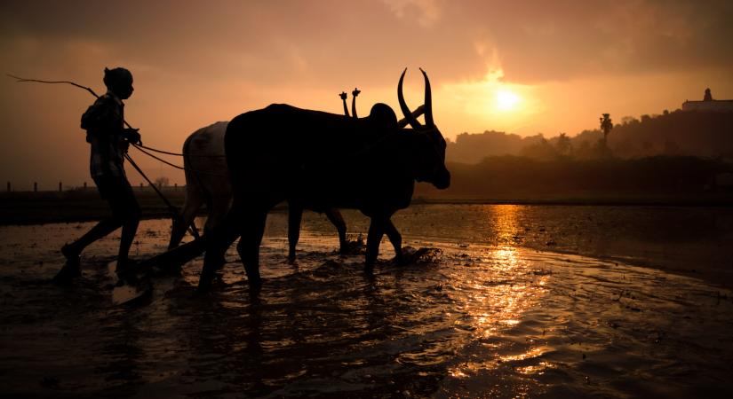 Megkongatták a vészharangot az indiai meteorológusok