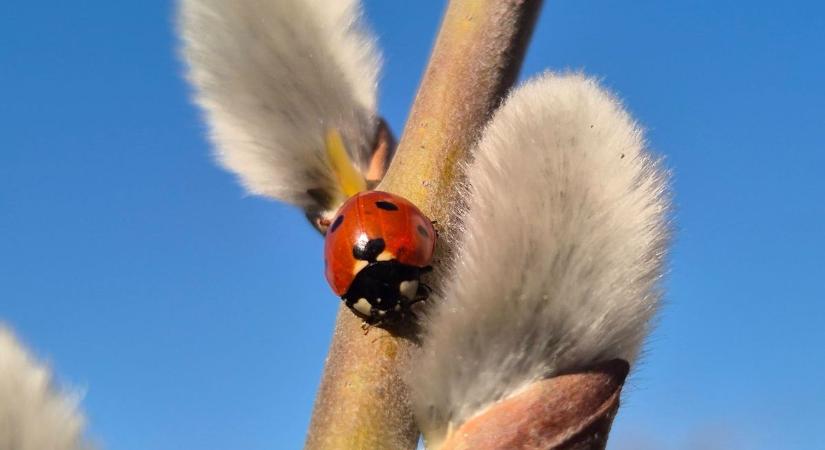Trükkös váltást hoz az időjárás holnap vármegyénkben is