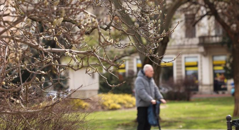 Vasárnap beköszönt a tavasz, akár 20 fok köré is emelkedhet a hőmérséklet