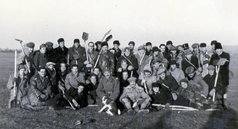 Így használták a kutyákat a katonák a második világháborúban: megdöbbentő feladatokat kaptak