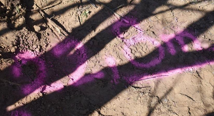 Kiásták a 27 éve eltűnt ceglédi nő maradványait, közzétették a helyszíni fotókat