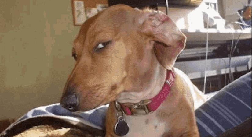 A negyedik valaha volt legnagyobb nyeremény jön az ötös lottón jövő héten