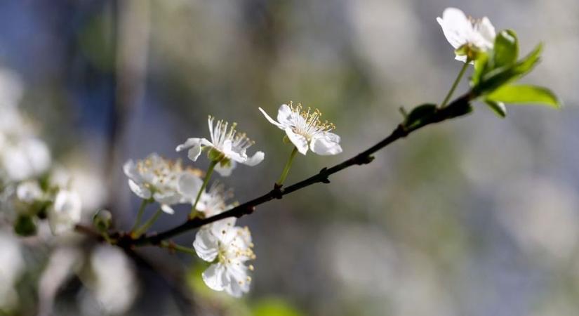 Berobban a tavasz, így indul a március