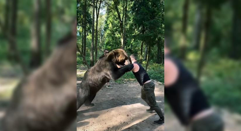 Medvével birkózott: így edz Tyson Fury következő ellenfele