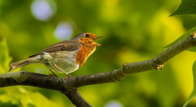 Folytatódik a kellemes tavaszi idő vasárnap is