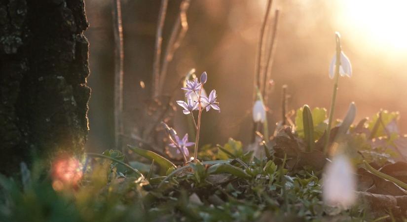 Hideg hajnal, kellemes délután érkezik vasárnap
