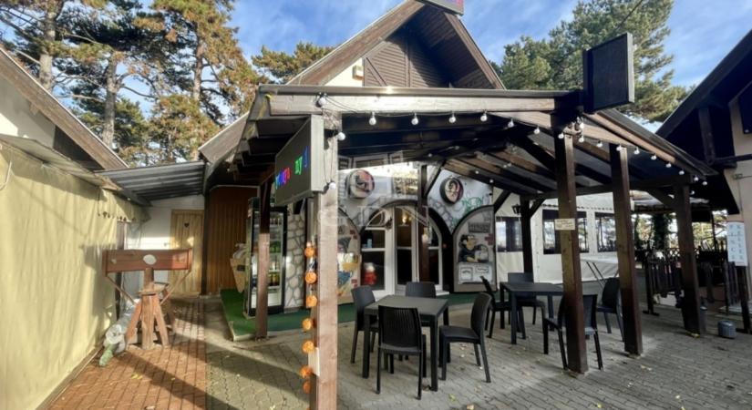 Egy pesti panellakás áráért akár balatoni éttermet is vehetsz: nem vicc, mutatjuk az ajánlatokat