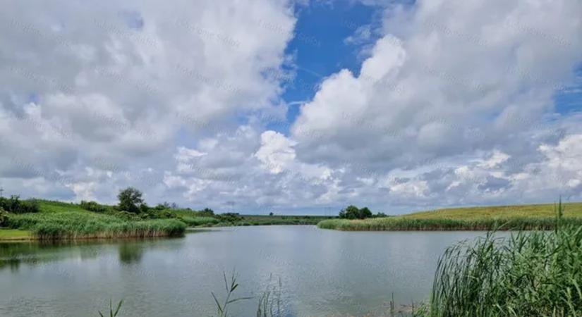 Titkos befektetési láz Baranyában: halastó, akácerdő, rét – milliók repkednek!