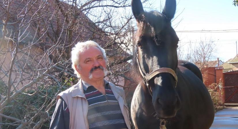 Vásárhely legidősebb fogatosa ma is hajt: lovak nélkül el sem tudná képzelni az életét