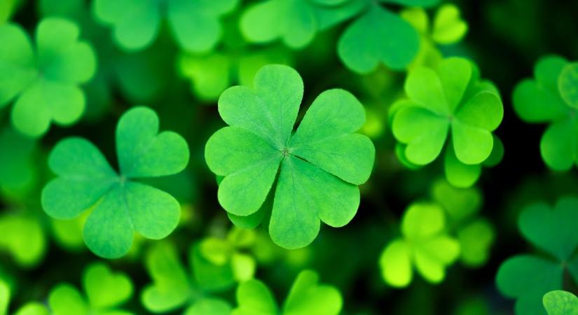 Megérkezett a várva várt március, mutatjuk milyen időnk lesz vasárnap