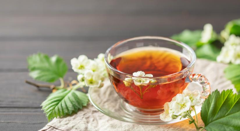 Ilyen nincs! Az emberek jelentős része rosszul készíti a zöld teát, ezt rontják el