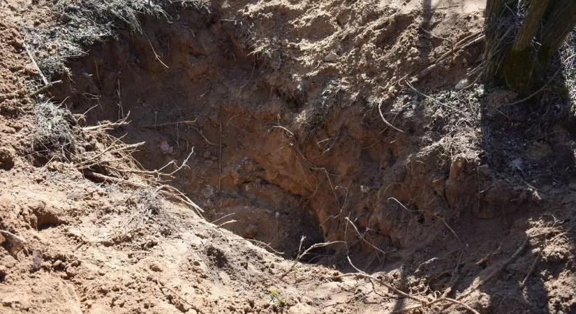 Ceglédi gyilkosság: megtalálták az eltűnt nő elásott holttestét