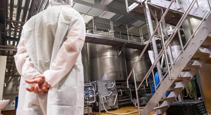 Minden második magyar elégedetlen a fizetésével, a munkavállalói stressz már az egekben van