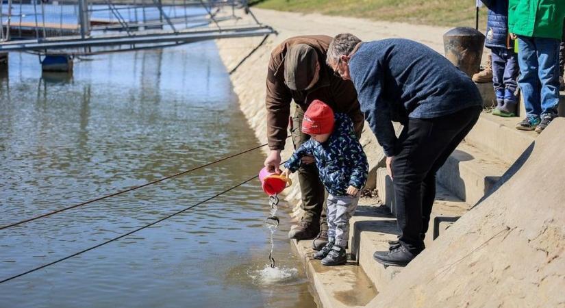Nem drágultak a horgászengedélyek a megyei szövetség vizeire - Tíz év alatt kétszer annyi a gyermek- és ifjúsági horgász a térségben