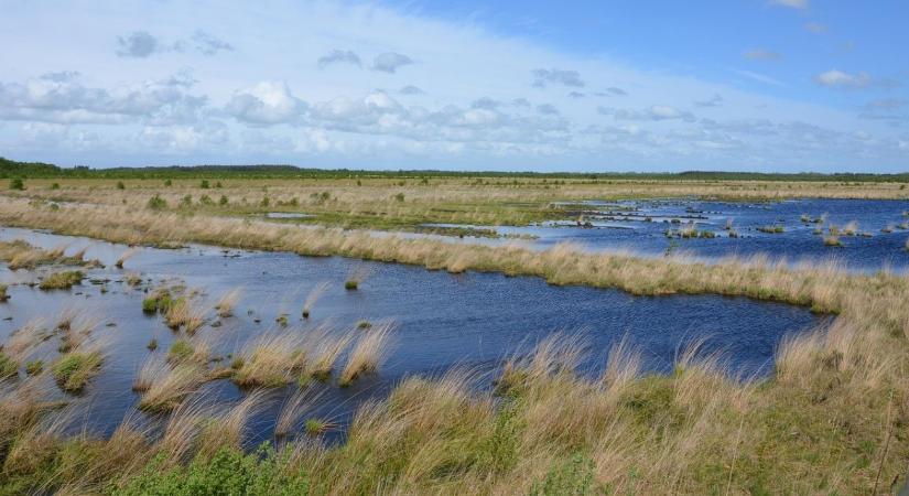 Belvízveszélyből profit: Így pontozza a vízügy a vizes élőhely-pályázatokat
