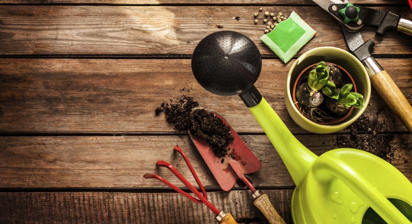 Márciusi kerti feladatok – amit most érdemes elvégezni