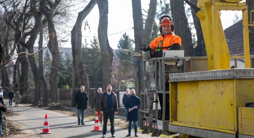 Balatoni bejelentés: fontos munka a biztonsági zónánál