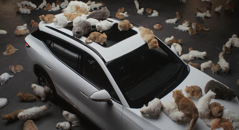 Macskákkal tesztelték az új kínai SUV-t