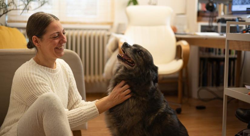 Renderelt művészet – Sztojánovits Andrea