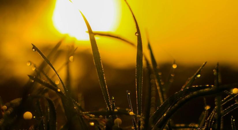 Ragyogás vagy fáradtság? A nap titkai