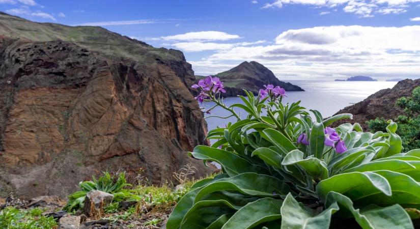 Egy európai sziget lett 2026 legtrendibb úti célja