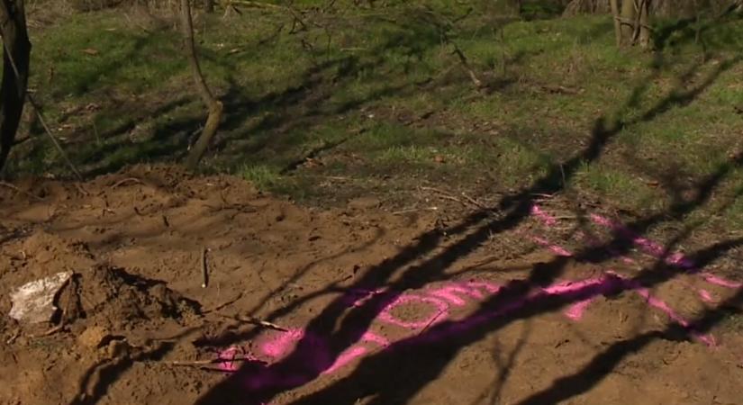 Megrázó fordulat, megtalálták az 1999-ben eltűnt anya holttestét Ceglédbercelen