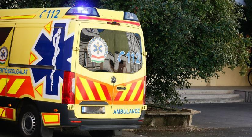 Életet mentett a postás: nem rettent meg a majdnem-haláltól