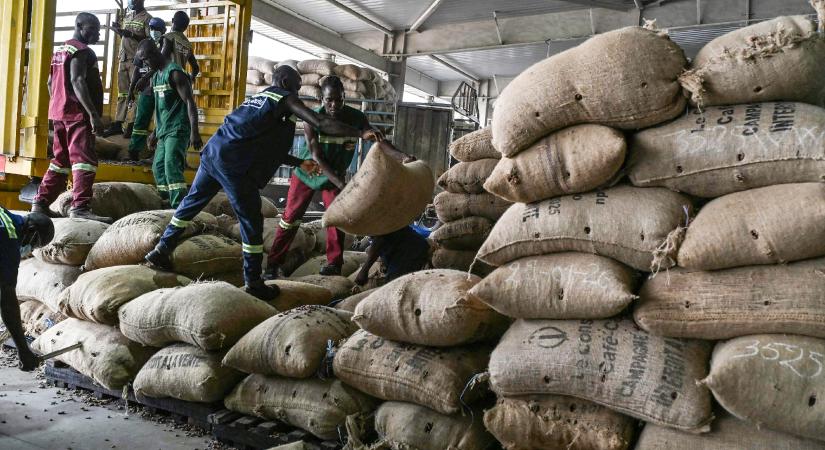 Miért ilyen drága a csoki, az olívaolaj és a narancslé a magyar boltokban, ha mindenhol zuhannak az árak?