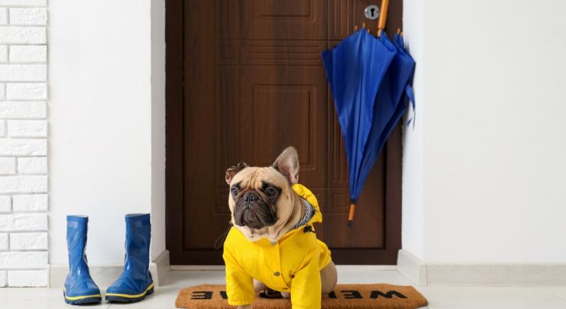 Záporok érkeznek a Dunántúlon