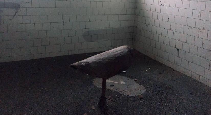 Elhagyatott mesterséges termékenyítőt fedeztek fel Győr-Moson-Sopronban - fotók