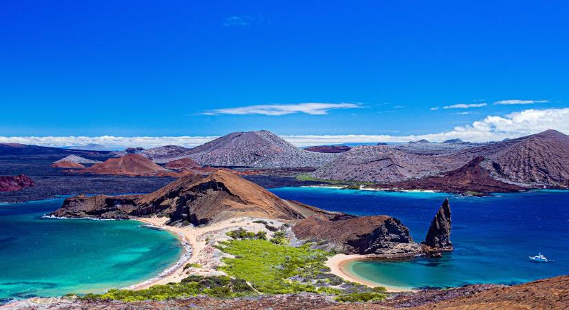 150 évvel a kihalás után tér vissza ez az állat az eredeti élőhelyére