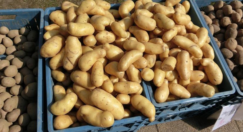 Drágulni kezdett a burgonya