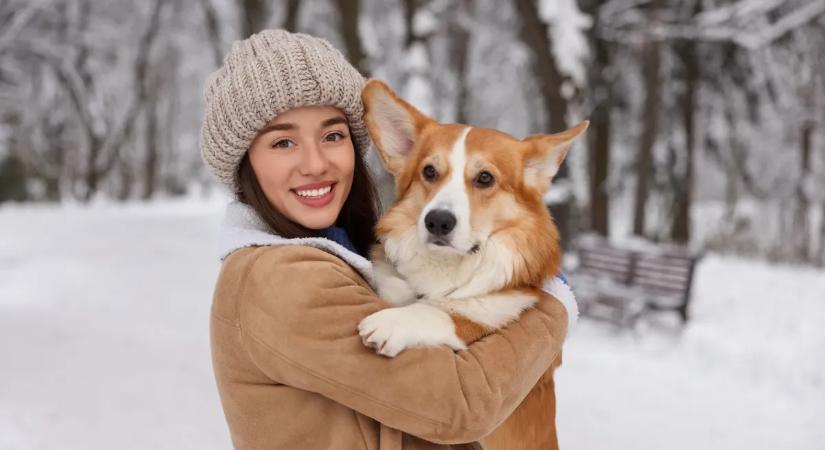 Melyik állatot fogadnád örökbe? Ez a személyiségteszt hihetetlenül pontos képet fest a lelkiállapotodról