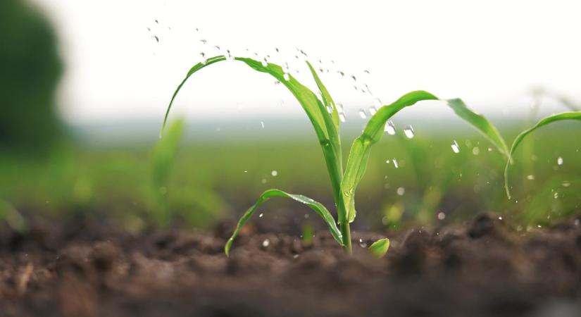 Akár 40 százalékos megtakarítás: Itt folyik el a pénz az öntözőrendszerekben