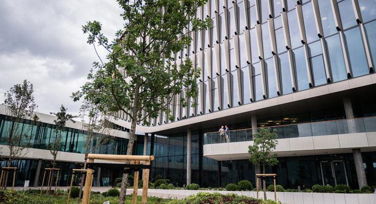 A Richter árbevétele nőtt, nyeresége csökkent tavaly