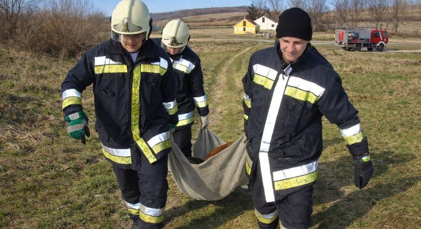 Rendkívüli esemény Orfűnél: lezárják a forgalmas sétányt mentési munkálatok miatt