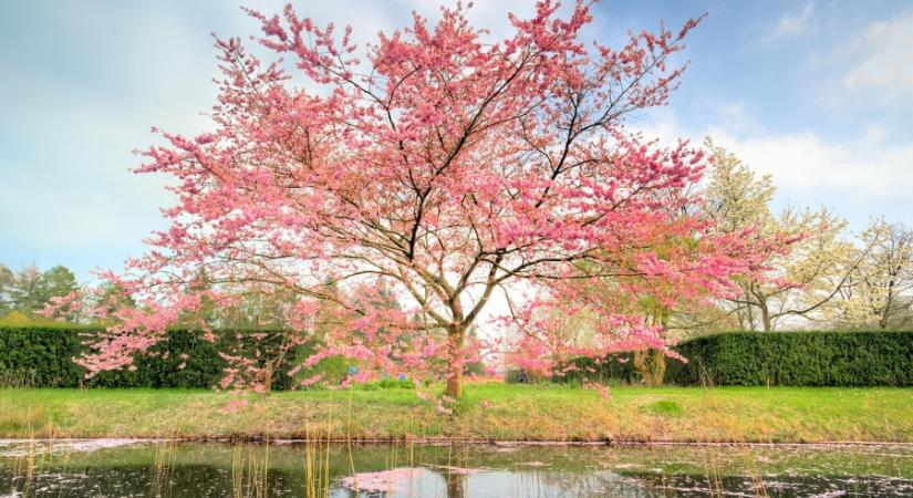 Eltehetjük végleg az esernyőt vagy szünetet tart a napsütés-maraton?