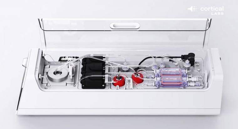 Megvan a győztes, most már élő emberi sejteken is fut a DOOM