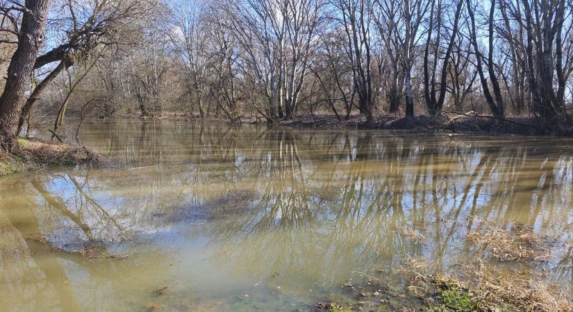 A Duna jelenlegi árhulláma visszaduzzasztást okoz a Kisalföldön