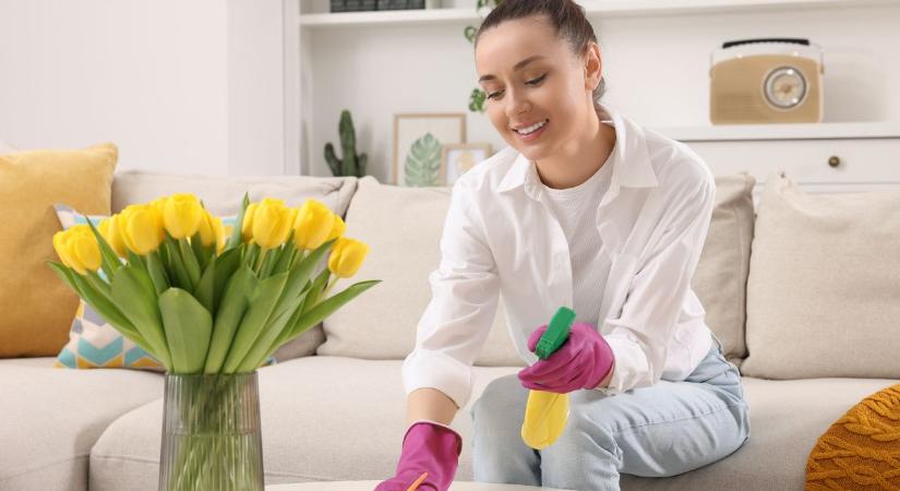 Boldogság rendrakás után? Az agyad imádja a kipipált kupacokat