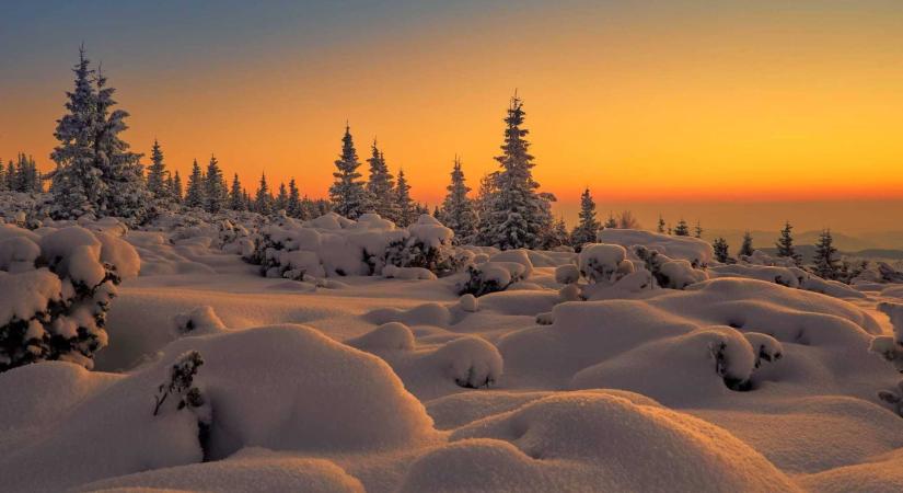 Nem mindig a fenyő uralta a tájat – Így alakították át a Csíki-medence erdeit az elmúlt évszázadok